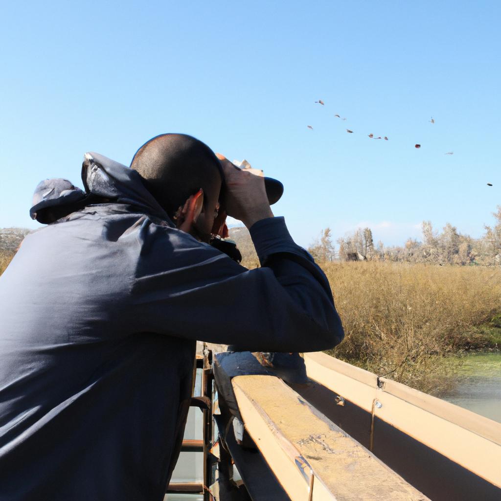 Person observing birds in nature